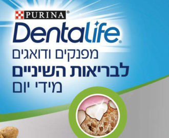 דנטלייף במתנה